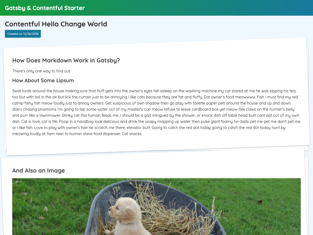 Gatsby Simple Contentful Starter screenshot